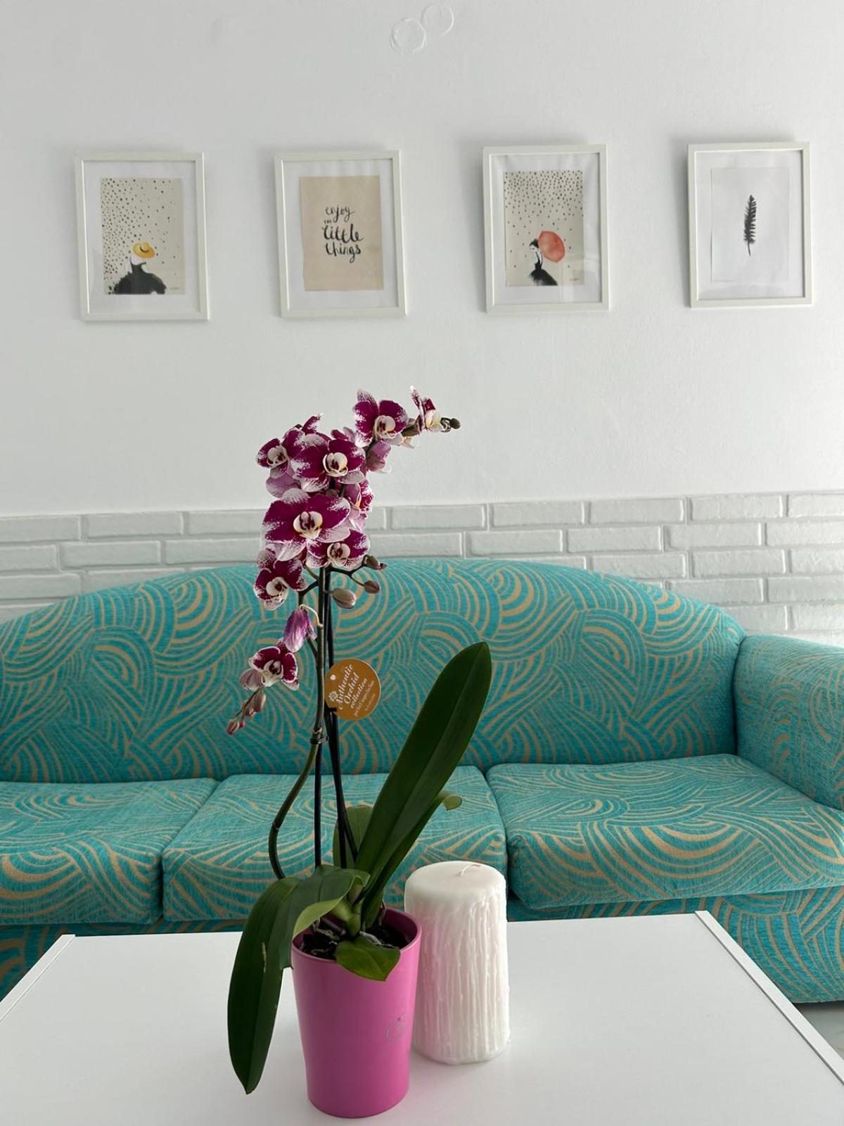 Maria'S Apartments Pigi  Luaran gambar
